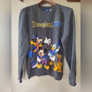 Disneyland Resort 70th Anniversary Embroidred Graphic Sweatshirt Size XS